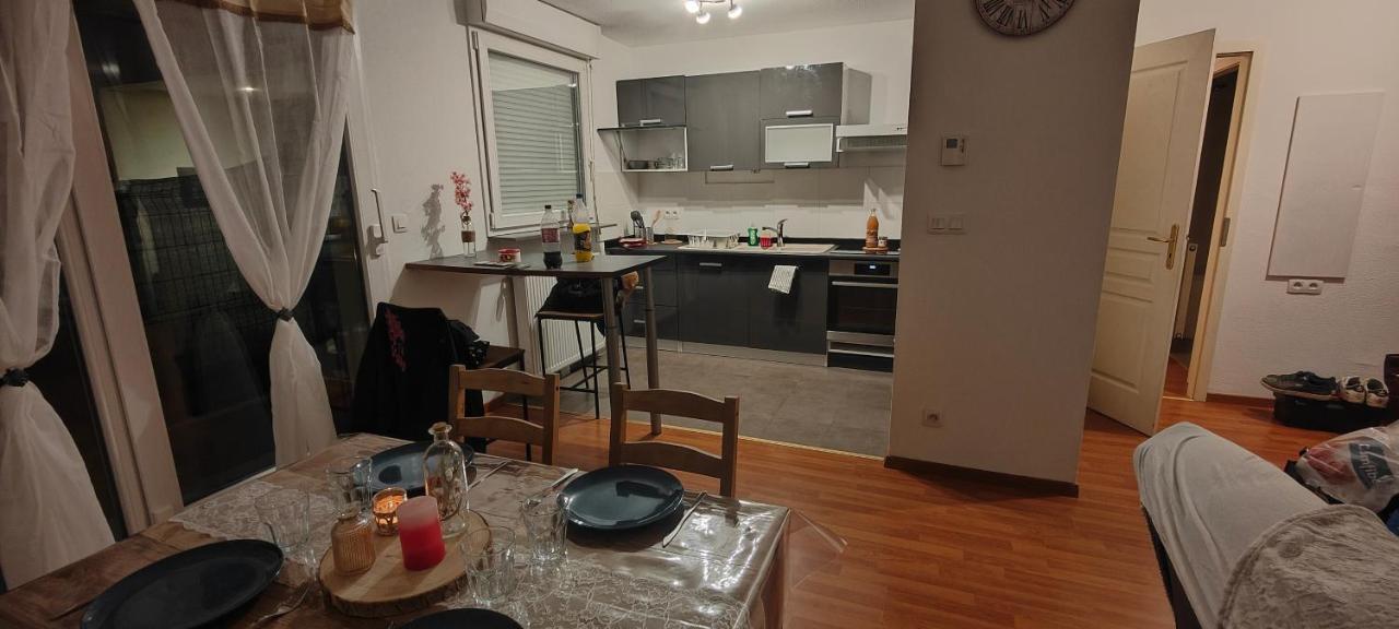 Appartement Rez-De-Chausse Dans Une Petite Ville Au Pied Du Massif Des Vosges Saverne Eksteriør bilde