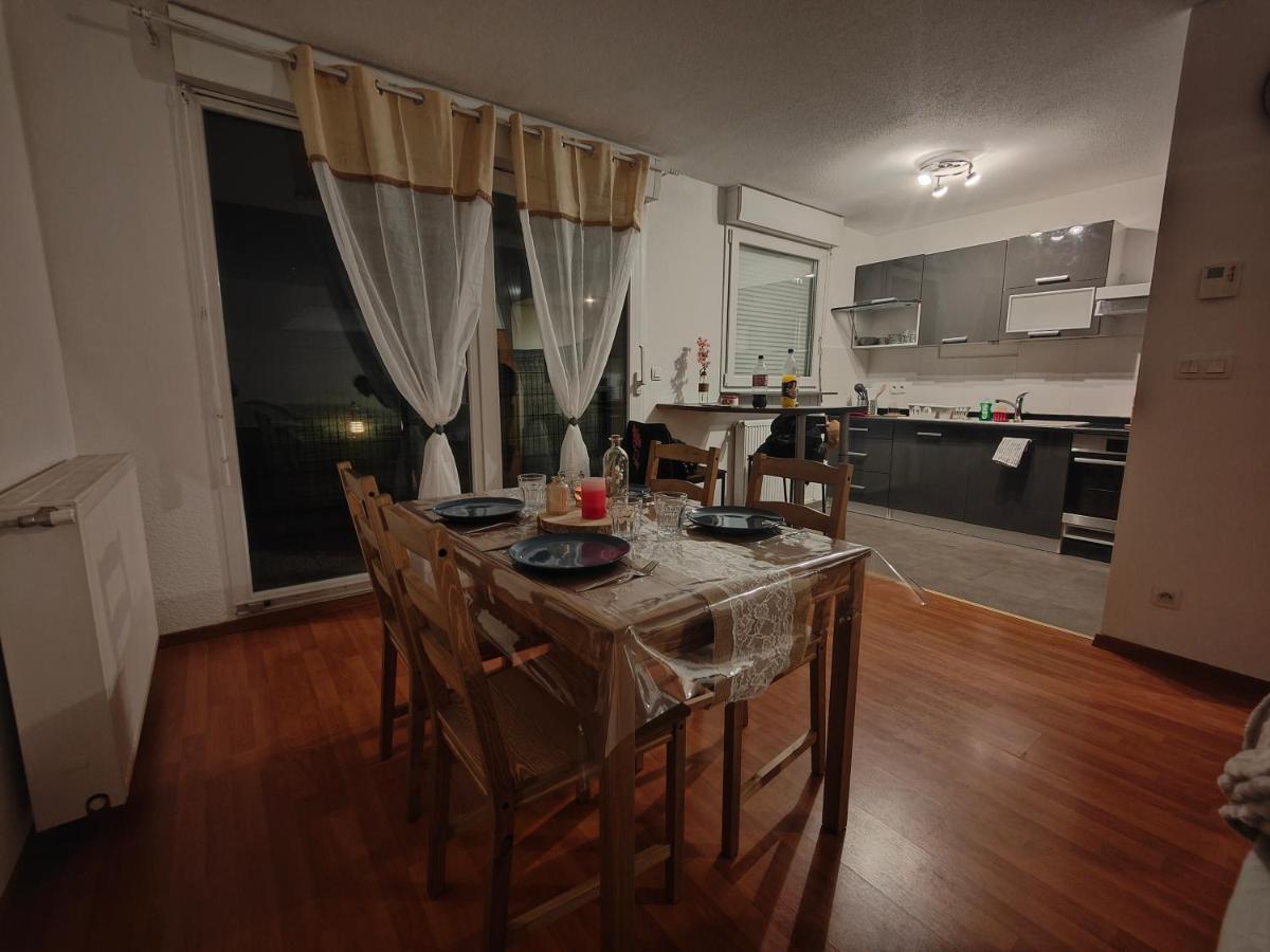 Appartement Rez-De-Chausse Dans Une Petite Ville Au Pied Du Massif Des Vosges Saverne Eksteriør bilde